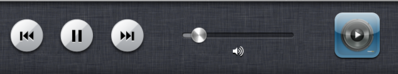 iPod Controls